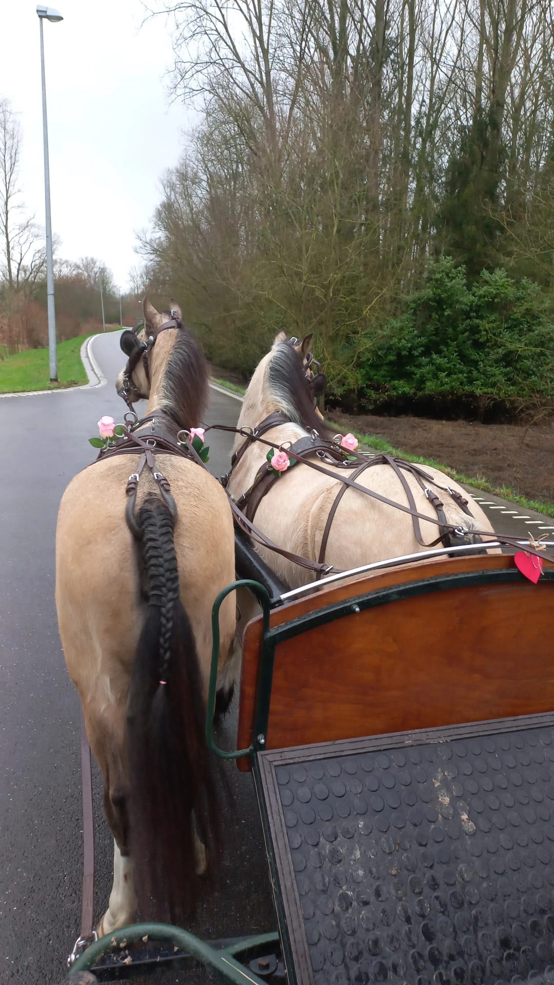 VALENTIJNSDATE (3)